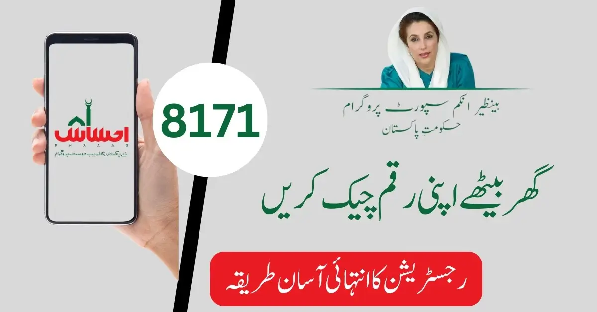 8171 Check Online CNIC New Uadtae 2024 - Ehsaas 8171 Portal