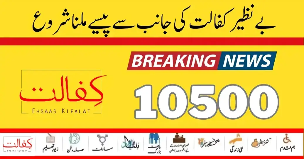 Benazir Kafalat 8171 Result Check Online By CNIC Number 10500 Update