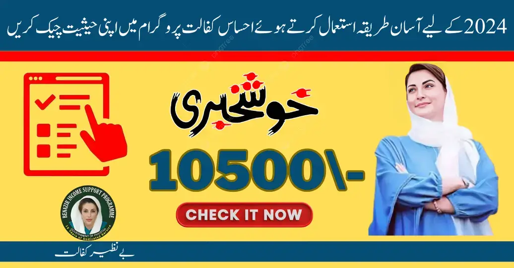 Check Your Status In Ehsaas Kafalat Programme By Using Easy Method for 2024