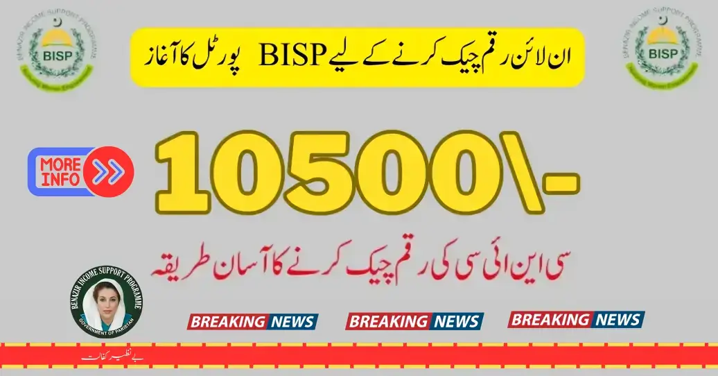 BISP 8171 Portal 2024 Online Check Eligibility By CNIC For 10500 September Qist