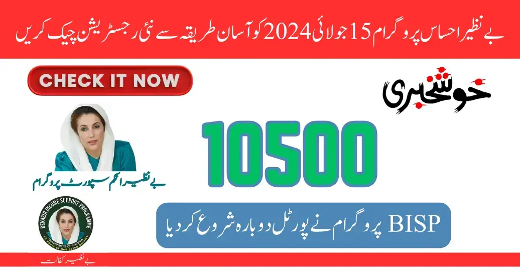 Benazir Ehsaas Program Check New Registration With Easy Method 15 July 2024