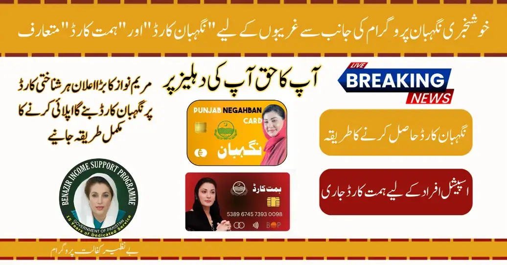 Breaking News Punjab Govt Announce Negahban Card and Himat Card For Special Persons