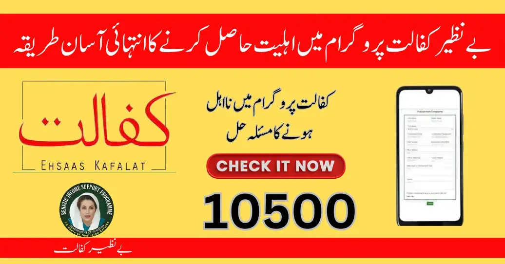 Complete Method to Check Eligibility and Payment in Benazir Kafalat 8171 Program