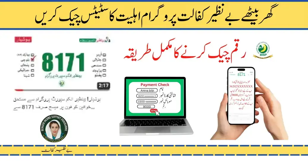 WWW BISP Gov PK Check Balance Online With 8171 Web Portal 2024