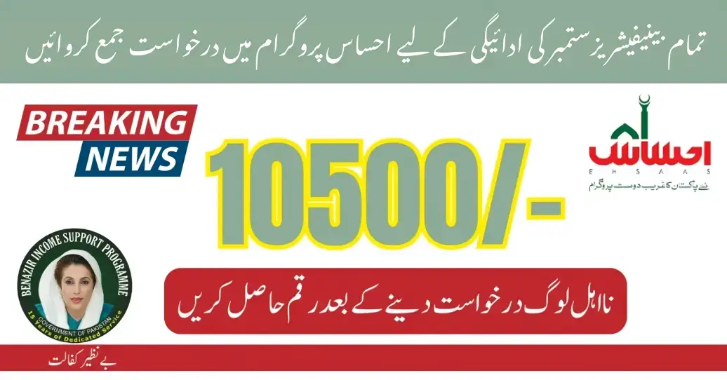 How to Appeal Your 10500 Ehsaas New Payment For September 2024