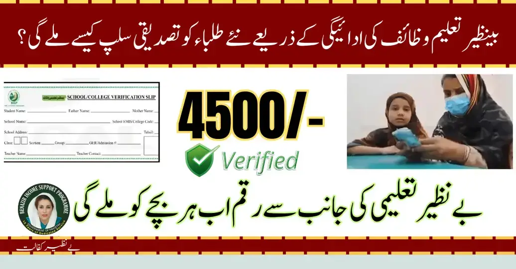 How New Students Will Get Verification Slip By Benazir Taleemi Payment