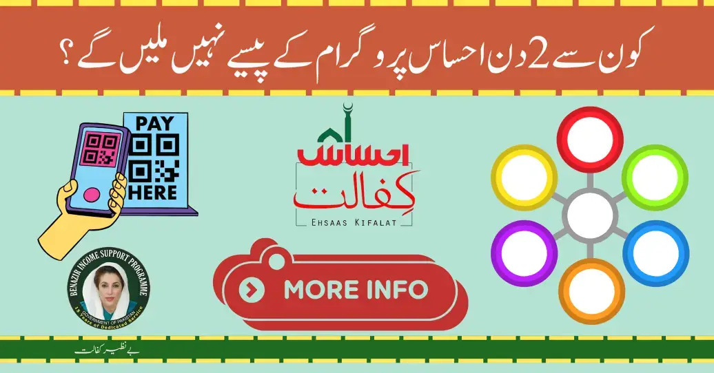 Didn't Get Ehsaas Payment on the 6th and 7th of July? Here's What You Should Do in Details