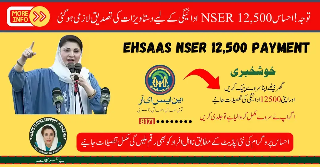 Attention! Ehsaas NSER 12,500 Payment Requires Document Verification